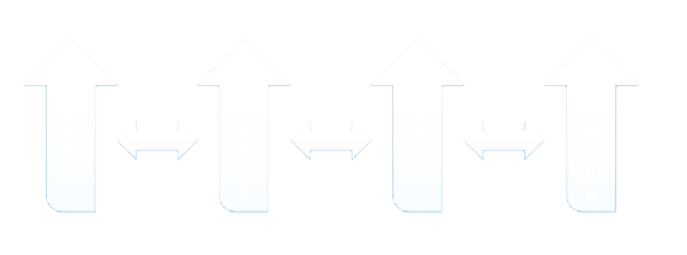 2024十二生肖49码表